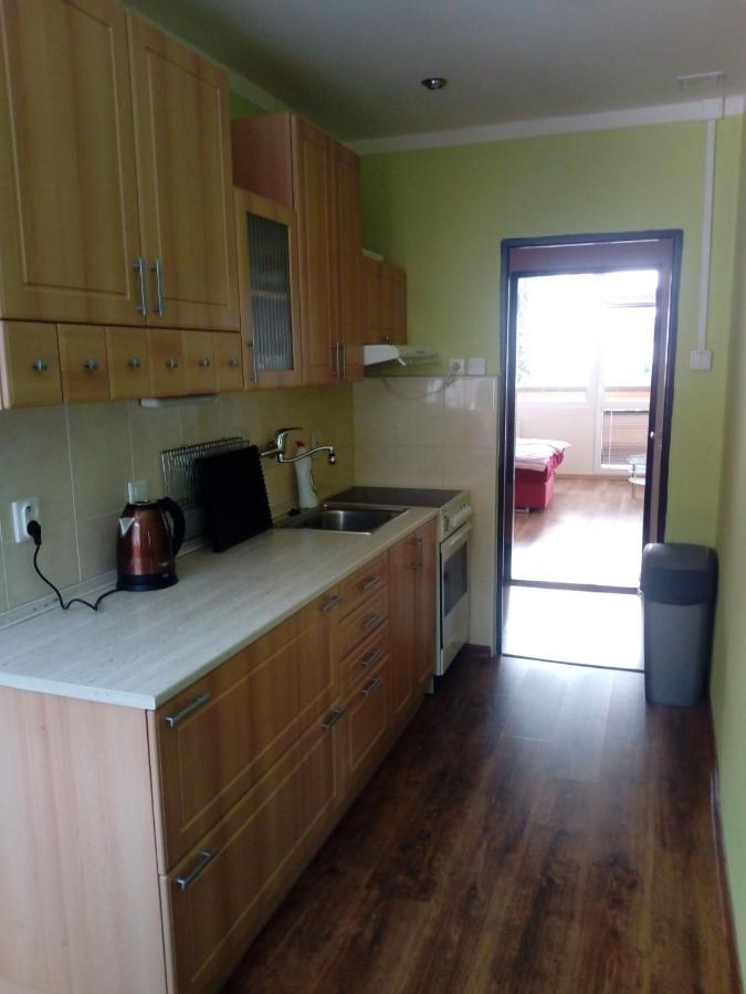 Jiretin pod Bukovou Apartman Spicak מראה חיצוני תמונה